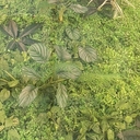 피드 작성자 프로필