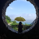 멤버 프로필