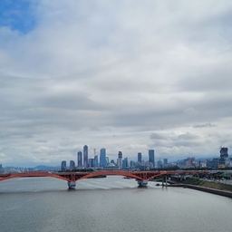 피드에 업로드 된 이미지