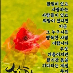 피드에 업로드 된 이미지