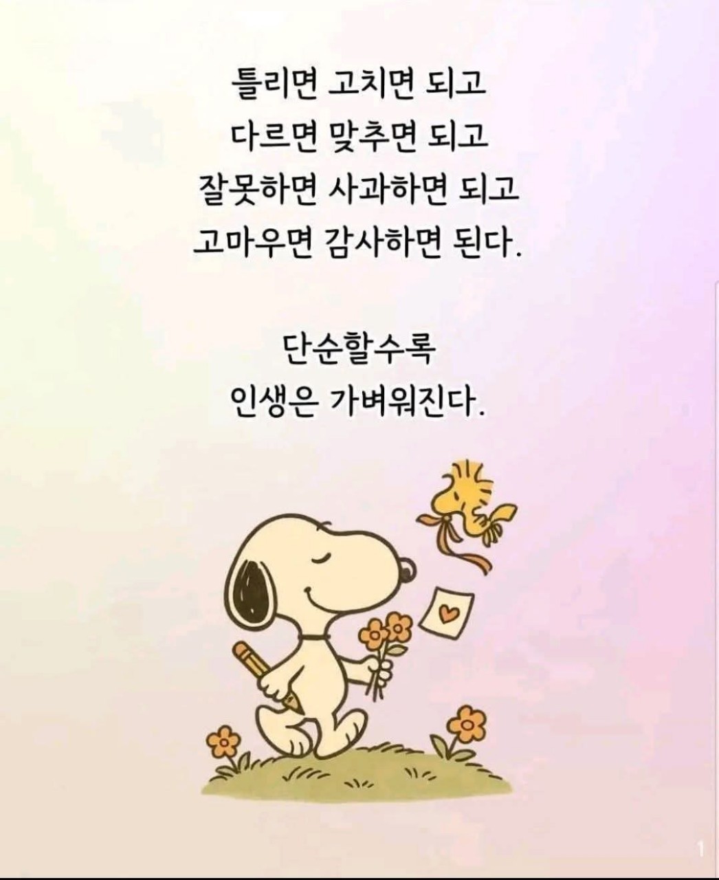 피드에 업로드 된 이미지