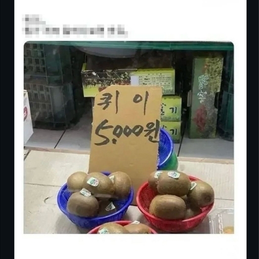 피드 이미지