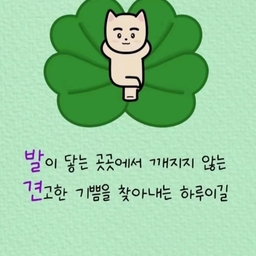 피드에 업로드 된 이미지