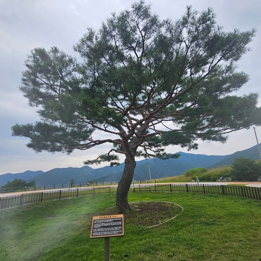 피드 이미지