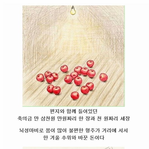 피드 이미지