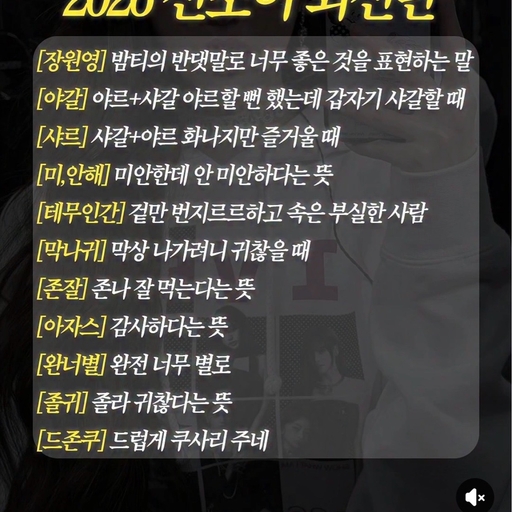 피드 이미지