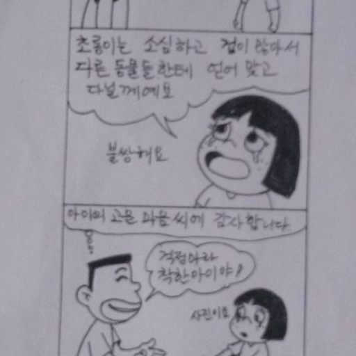 피드 이미지