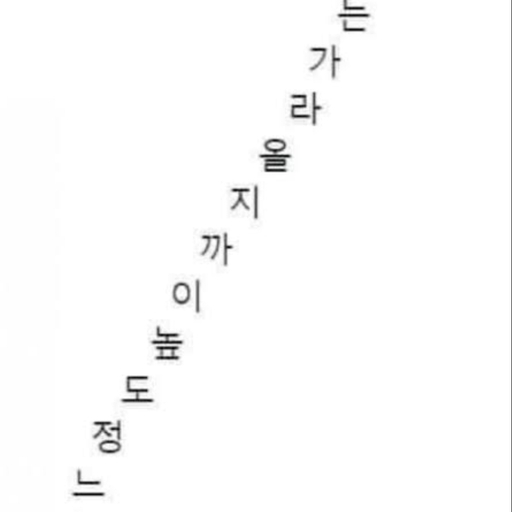 피드 이미지
