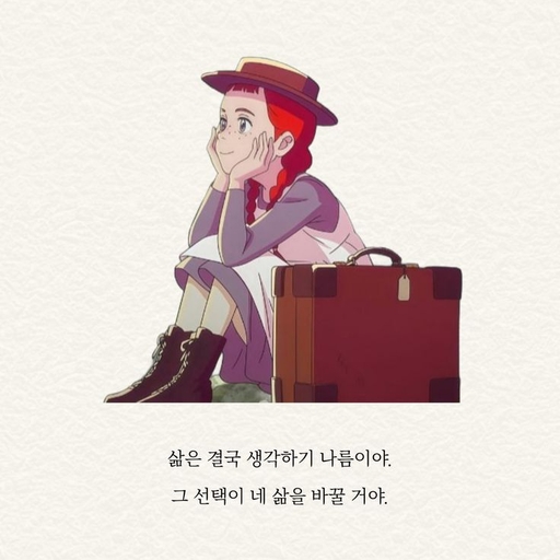 피드 이미지