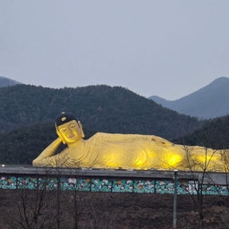 피드에 업로드 된 이미지