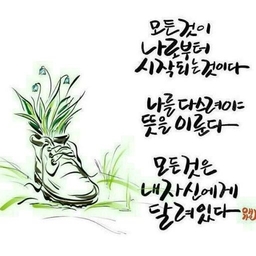 피드에 업로드 된 이미지
