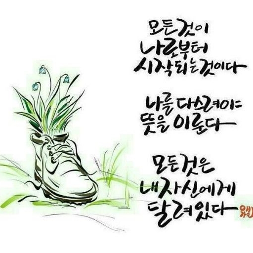 피드 이미지