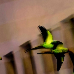 피드에 업로드 된 이미지