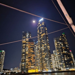 피드에 업로드 된 이미지