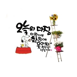 피드에 업로드 된 이미지