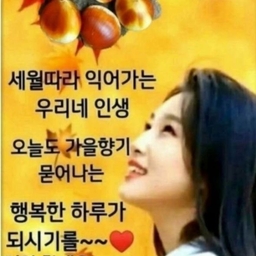 피드에 업로드 된 이미지