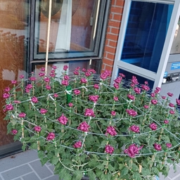 ํผ๋์ ์
๋ก๋ ๋ ์ด๋ฏธ์ง