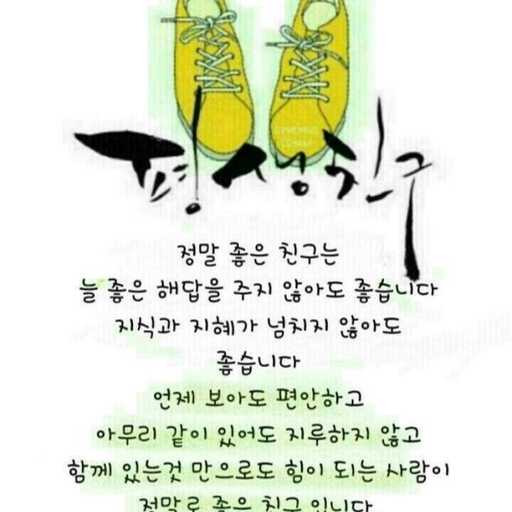 피드 이미지