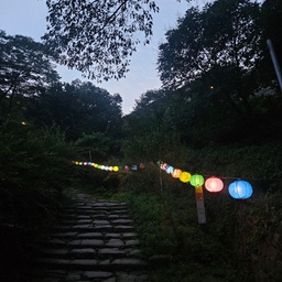 피드에 업로드 된 이미지