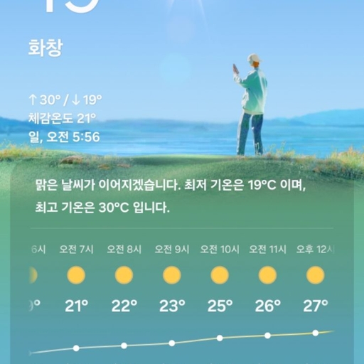 피드 이미지