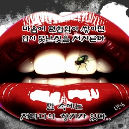 피드에 업로드 된 이미지