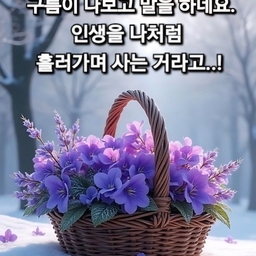 피드에 업로드 된 이미지