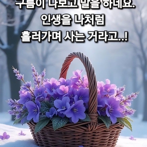 피드 이미지