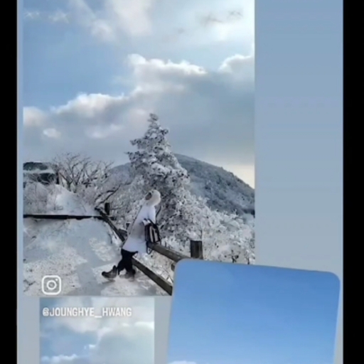 피드 이미지