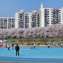 피드에 업로드 된 이미지