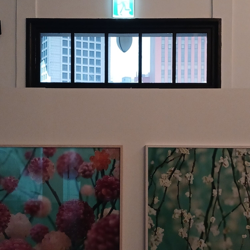 피드 이미지