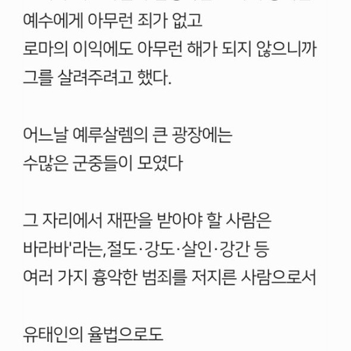 피드 이미지