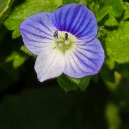 피드에 업로드 된 이미지