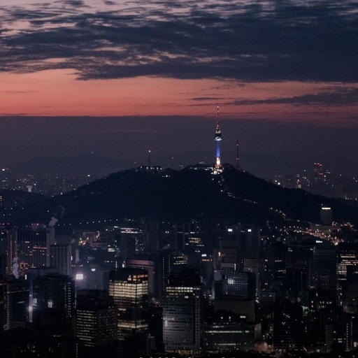 피드 이미지