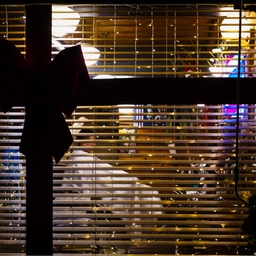 피드에 업로드 된 이미지