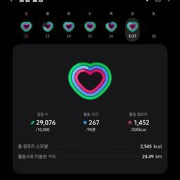 피드에 업로드 된 이미지