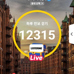 피드에 업로드 된 이미지