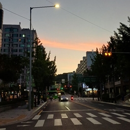 피드에 업로드 된 이미지