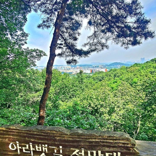피드 이미지