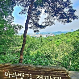 피드에 업로드 된 이미지