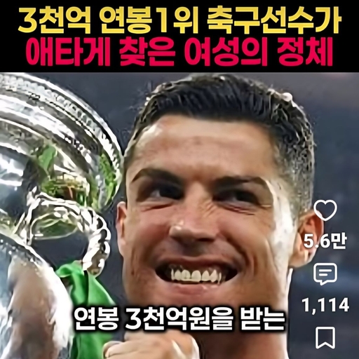 피드 이미지