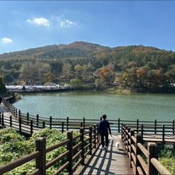 피드에 업로드 된 이미지