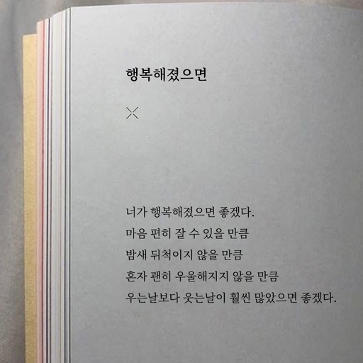 피드 이미지