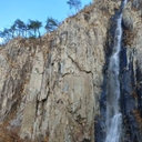 피드 작성자 프로필