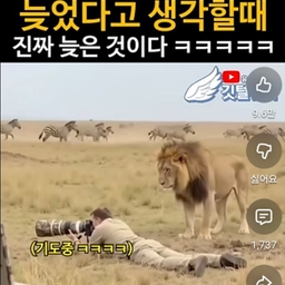 피드에 업로드 된 이미지