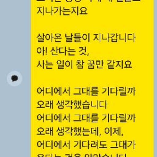 피드 이미지
