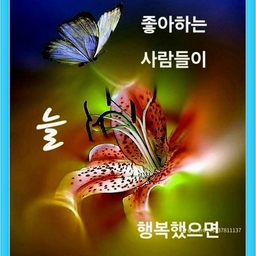 피드에 업로드 된 이미지