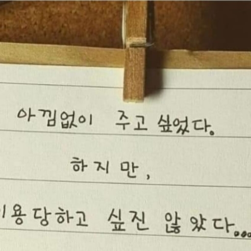 피드 이미지