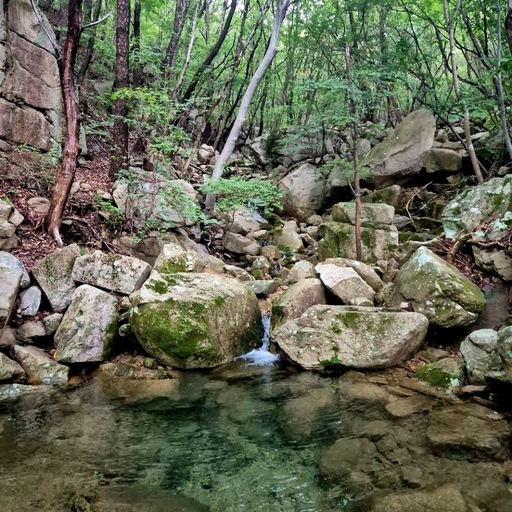 ํผ๋ ์ด๋ฏธ์ง