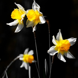 피드에 업로드 된 이미지