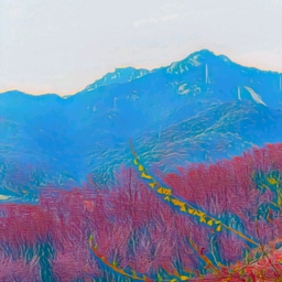 피드에 업로드 된 이미지